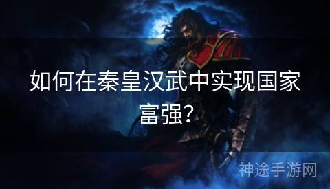 如何在秦皇汉武中实现国家富强？