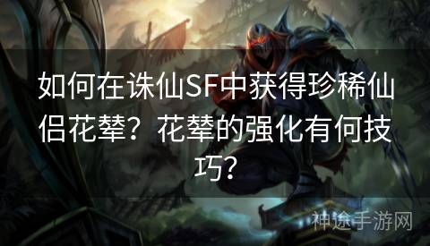 如何在诛仙SF中获得珍稀仙侣花辇？花辇的强化有何技巧？