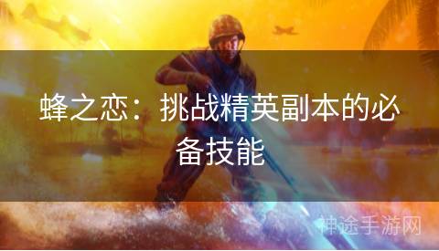 蜂之恋：挑战精英副本的必备技能