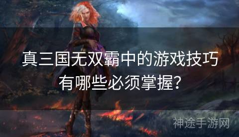 真三国无双霸中的游戏技巧有哪些必须掌握？