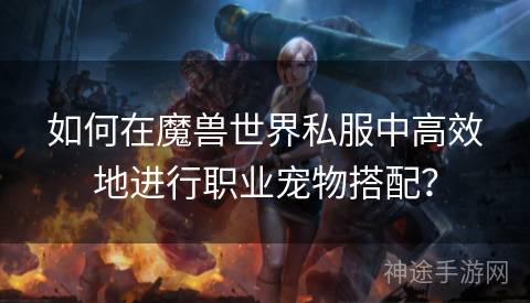 如何在魔兽世界私服中高效地进行职业宠物搭配？