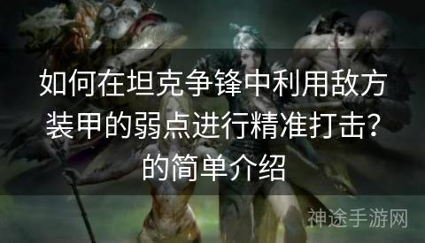 如何在坦克争锋中利用敌方装甲的弱点进行精准打击？的简单介绍