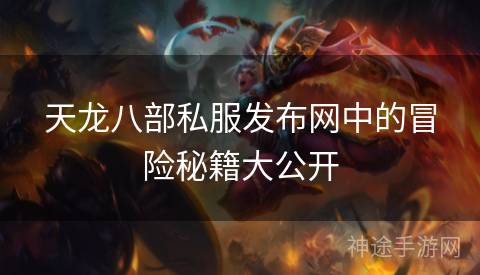 天龙八部私服发布网中的冒险秘籍大公开