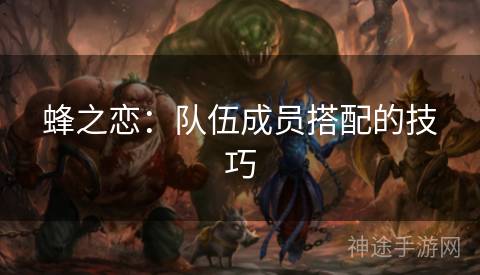 蜂之恋：队伍成员搭配的技巧