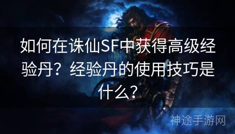 如何在诛仙SF中获得高级经验丹？经验丹的使用技巧是什么？
