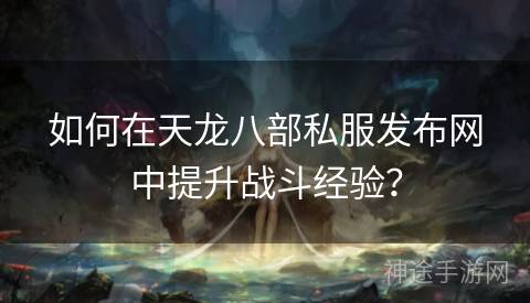 如何在天龙八部私服发布网中提升战斗经验？