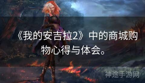 《我的安吉拉2》中的商城购物心得与体会。