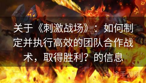 关于《刺激战场》：如何制定并执行高效的团队合作战术，取得胜利？的信息