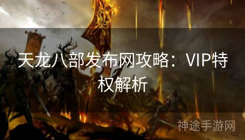 天龙八部发布网攻略：VIP特权解析