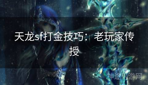 天龙sf打金技巧：老玩家传授