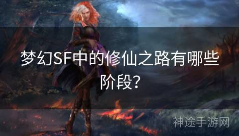梦幻SF中的修仙之路有哪些阶段？