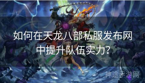 如何在天龙八部私服发布网中提升队伍实力？