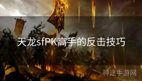 天龙sfPK高手的反击技巧