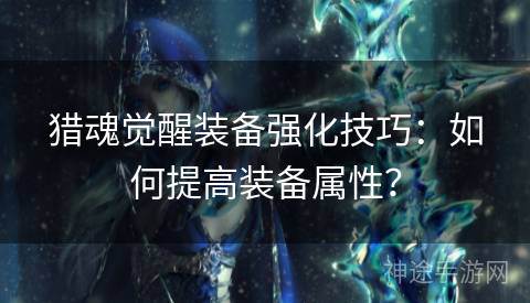 猎魂觉醒装备强化技巧：如何提高装备属性？
