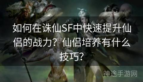 如何在诛仙SF中快速提升仙侣的战力？仙侣培养有什么技巧？