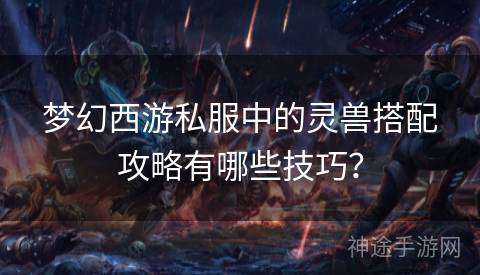 梦幻西游私服中的灵兽搭配攻略有哪些技巧？