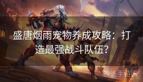 盛唐烟雨宠物养成攻略:打造最强战斗队伍? 盛唐烟雨宠物养成攻略:打造最强战斗队伍?