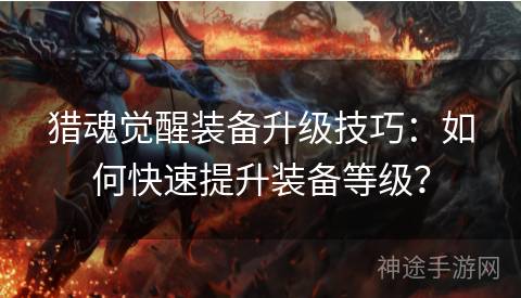 猎魂觉醒装备升级技巧：如何快速提升装备等级？