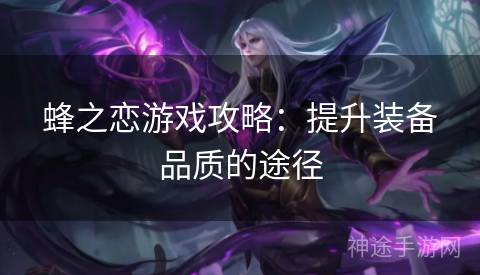 蜂之恋游戏攻略：提升装备品质的途径