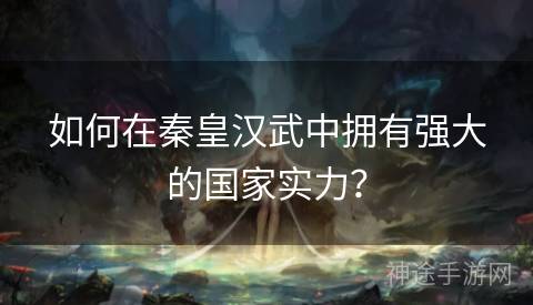 如何在秦皇汉武中拥有强大的国家实力？