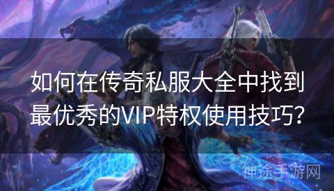 如何在传奇私服大全中找到最优秀的VIP特权使用技巧？
