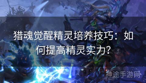 猎魂觉醒精灵培养技巧：如何提高精灵实力？