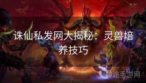 诛仙私发网大揭秘：灵兽培养技巧