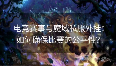 电竞赛事与魔域私服外挂：如何确保比赛的公平性？