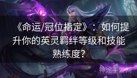 《命运/冠位指定》：如何提升你的英灵羁绊等级和技能熟练度？