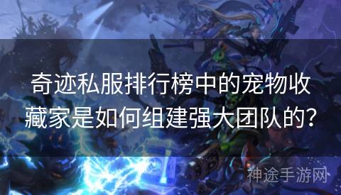 奇迹私服排行榜中的宠物收藏家是如何组建强大团队的？