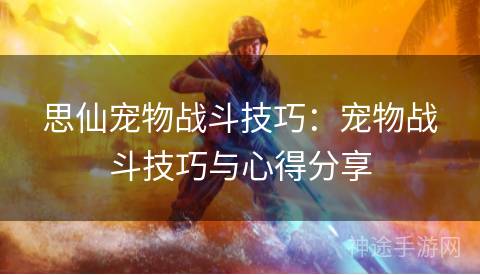 思仙宠物战斗技巧：宠物战斗技巧与心得分享