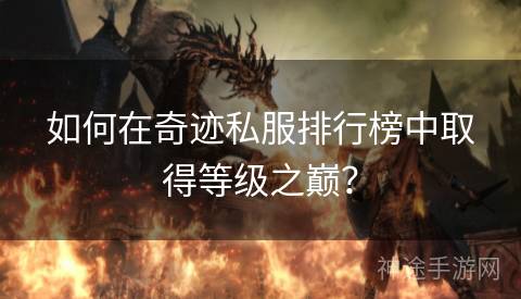 如何在奇迹私服排行榜中取得等级之巅？