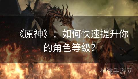 《原神》：如何快速提升你的角色等级？