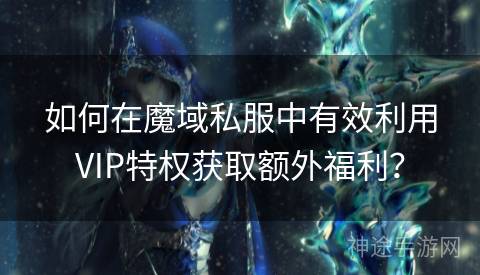 如何在魔域私服中有效利用VIP特权获取额外福利？