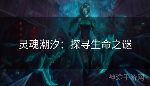 灵魂潮汐：探寻生命之谜
