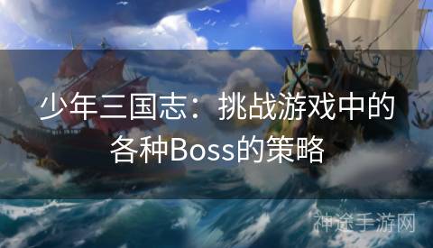 少年三国志：挑战游戏中的各种Boss的策略