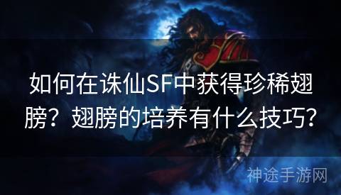 如何在诛仙SF中获得珍稀翅膀？翅膀的培养有什么技巧？