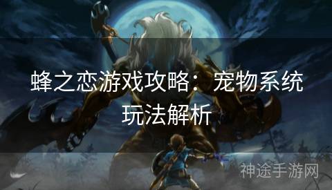 蜂之恋游戏攻略：宠物系统玩法解析