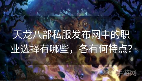 天龙八部私服发布网中的职业选择有哪些，各有何特点？