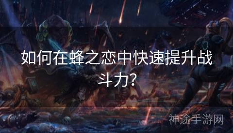 如何在蜂之恋中快速提升战斗力？