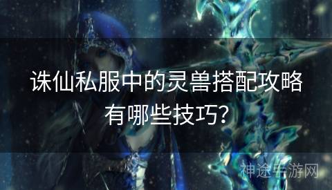 诛仙私服中的灵兽搭配攻略有哪些技巧? 诛仙私服中的灵兽搭配攻略有哪些技巧?