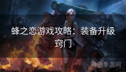 蜂之恋游戏攻略：装备升级窍门