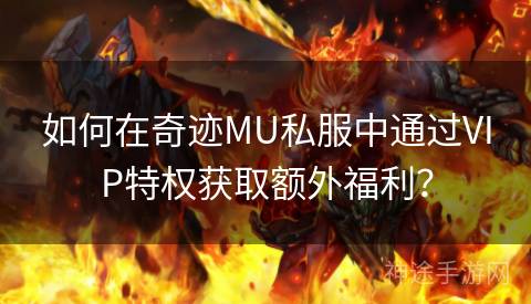 如何在奇迹MU私服中通过VIP特权获取额外福利？