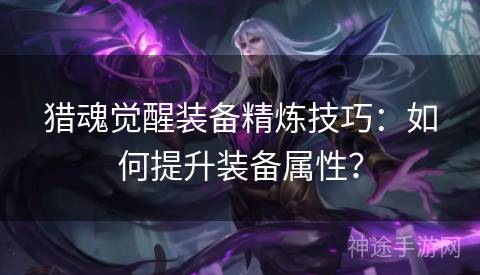 猎魂觉醒装备精炼技巧：如何提升装备属性？