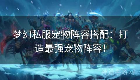 梦幻私服宠物阵容搭配：打造最强宠物阵容！