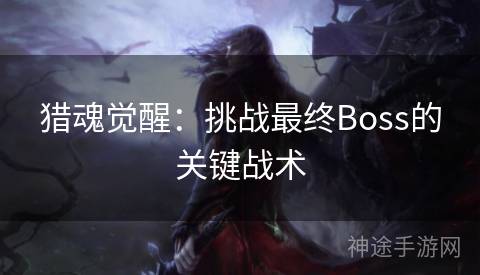 猎魂觉醒：挑战最终Boss的关键战术